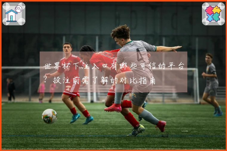 世界杯下注入口有哪些可信的平台？投注前需了解的对比指南