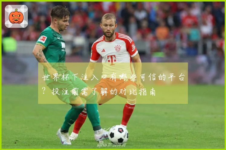世界杯下注入口有哪些可信的平台？投注前需了解的对比指南