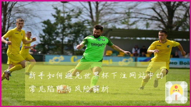 新手如何避免世界杯下注网站中的常见陷阱与风险解析