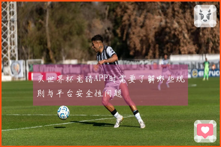 买世界杯竞猜APP时需要了解哪些规则与平台安全性问题