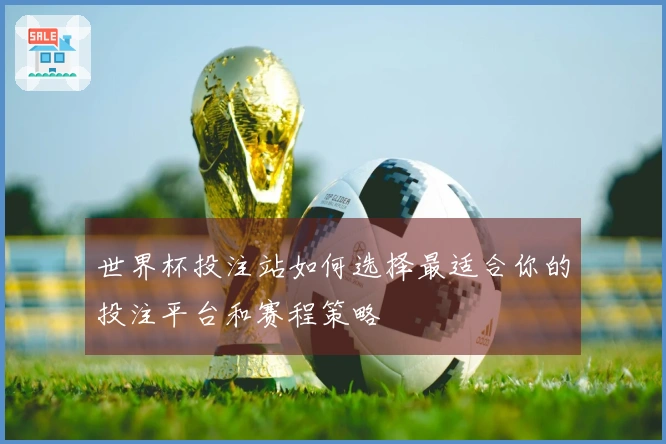 世界杯投注站如何选择最适合你的投注平台和赛程策略