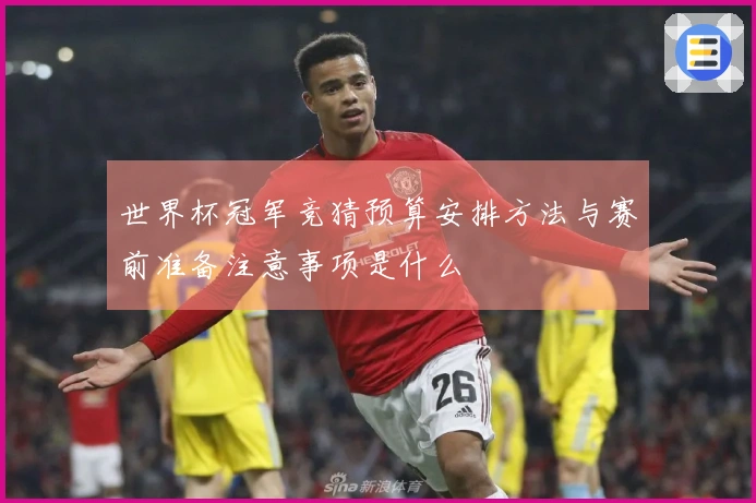世界杯冠军竞猜预算安排方法与赛前准备注意事项是什么