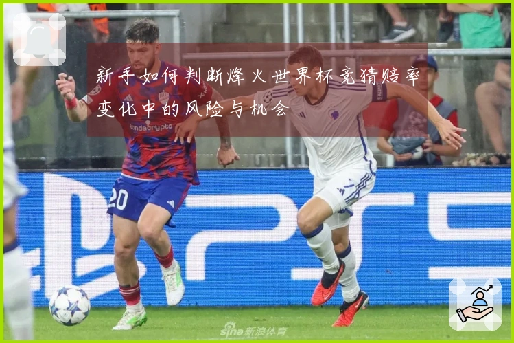 新手如何判断烽火世界杯竞猜赔率变化中的风险与机会
