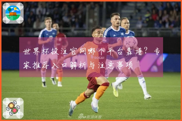 世界杯投注官网哪个平台靠谱？专家推荐入口解析与注意事项